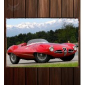 Металлическая табличка Alfa Romeo 1900 C52 Disco Volante Spider (1359)